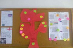 IMG_20210927_124609364